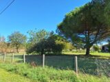 Maison à construire à Plaisance-du-Touch (31830) 2679639-9555annonce1202610163HpRW.jpeg Maisons France Confort