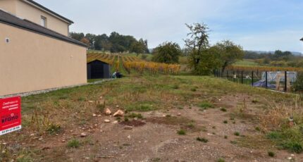 Wuenheim Terrain à bâtir - 2684669-11945annonce120261021TLqbG.jpeg Maisons France Confort