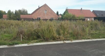 Thumeries Maison neuve - 2685007-1807annonce220261021F6f1a.jpeg Maisons France Confort