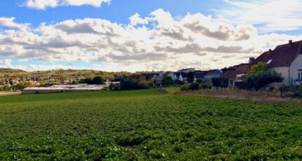Willgottheim Maison neuve - 2684908-11920annonce12026102372mNz.jpeg Maisons France Confort