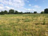 Maison à construire à Bâgé-le-Châtel (01380) 2686029-754annonce1202610217pkDK.jpeg Maisons France Confort