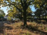 Terrain à bâtir à Lanton (33138) 2687870-11276annonce120261023Dfv2k.jpeg Maisons France Confort