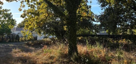 Terrain à bâtir à Lanton, Nouvelle-Aquitaine