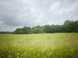 Maison à construire à Cavignac (33620) 2688441-11254annonce1202610231ys87.jpeg Maisons France Confort