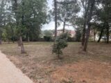 Maison à construire à Villaudric (31620) 2686198-11356annonce120261022HInGW.jpeg Maisons France Confort