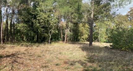 Casteljaloux Maison neuve - 2689390-1086annonce220261024Gmn9D.jpeg Maisons France Confort