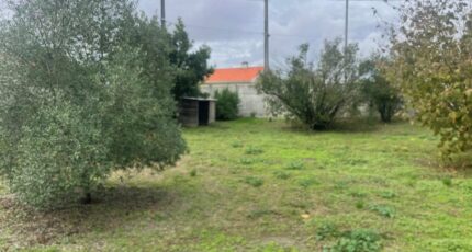 Blaye Terrain à bâtir - 2690015-11252annonce1202610266X76O.jpeg Maisons France Confort