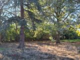 Maison à construire à Seysses (31600) 2688501-9555annonce120261023mntsR.jpeg Maisons France Confort