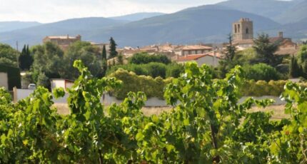 Peyriac-Minervois Maison neuve - 2668220-11456annonce2202610082AMJb.jpeg Maisons France Confort