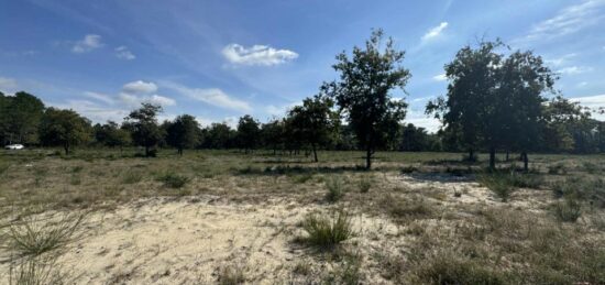 Terrain à bâtir à , Gironde