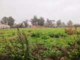 Terrain à bâtir à La Boissière-de-Montaigu (85600) 2693017-11930annonce1202610285Uby5.jpeg Maisons France Confort