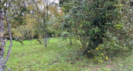 Ceyzériat Maison neuve - 2694596-754annonce120261029AszSw.jpeg Maisons France Confort