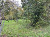 Maison à construire à Ceyzériat (01250) 2694591-754annonce120261029AszSw.jpeg Maisons France Confort