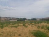 Maison à construire à Avignon (84000) 2694810-695annonce220261029wyB9O.jpeg Maisons France Confort