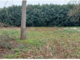 Maison à construire à Nemours (77140) 2692734-11009annonce120261027mySZF.jpeg Maisons France Confort