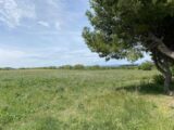 Maison à construire à Floure (11800) 2667679-11456annonce120261007uRUvP.jpeg Maisons France Confort
